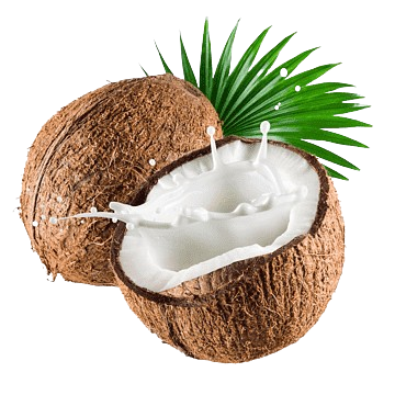 coconut 2